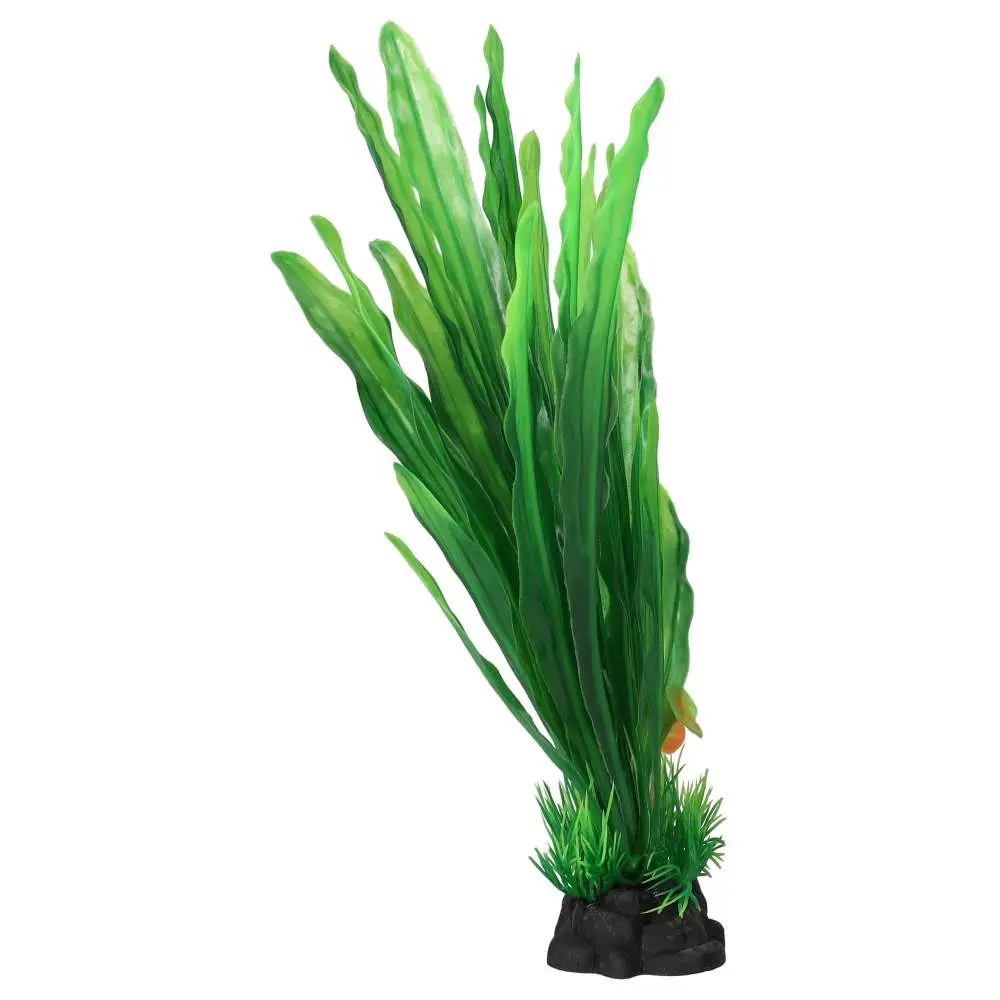 AquaSpectra Amazon Sword Leaf - Image 2