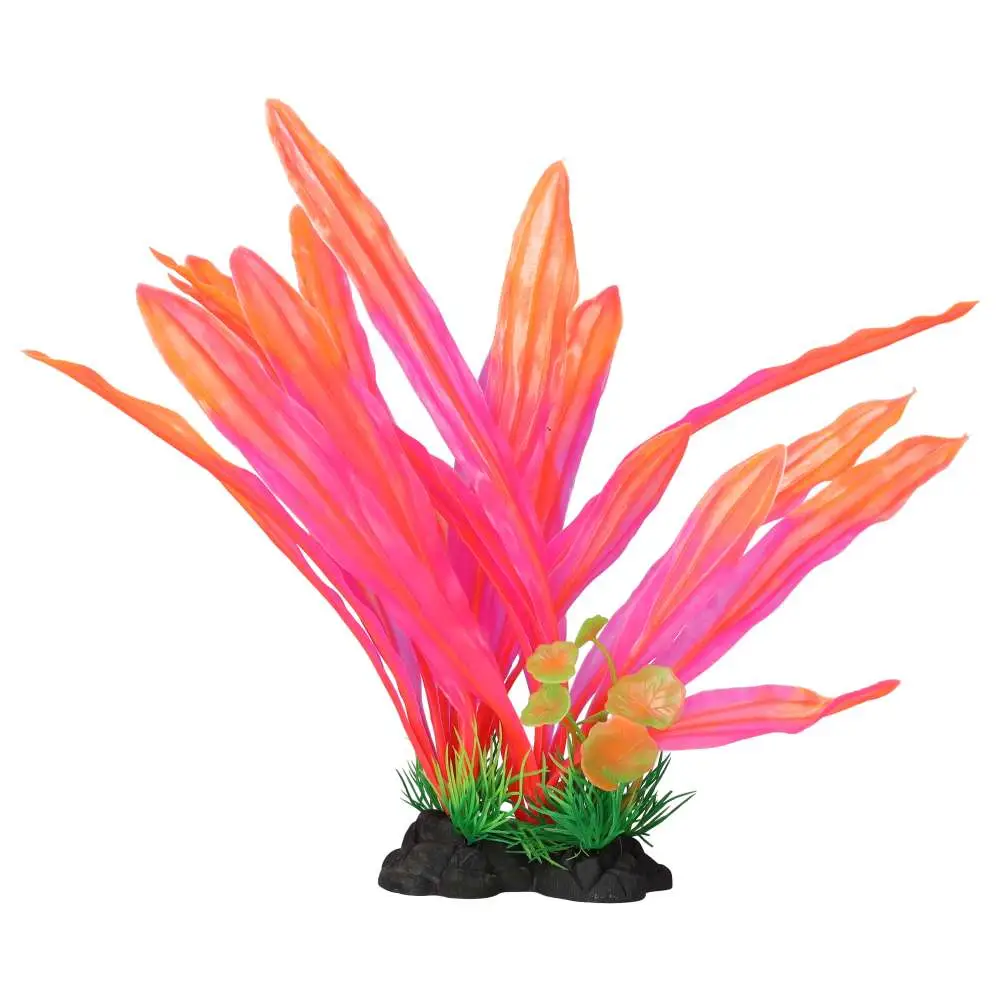 AquaSpectra Amazon Sword Leaf - Image 3