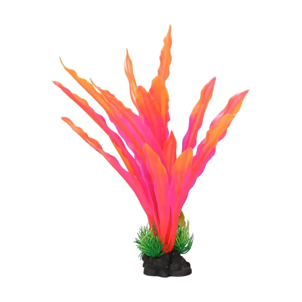 AquaSpectra Amazon Sword Leaf - Image 4