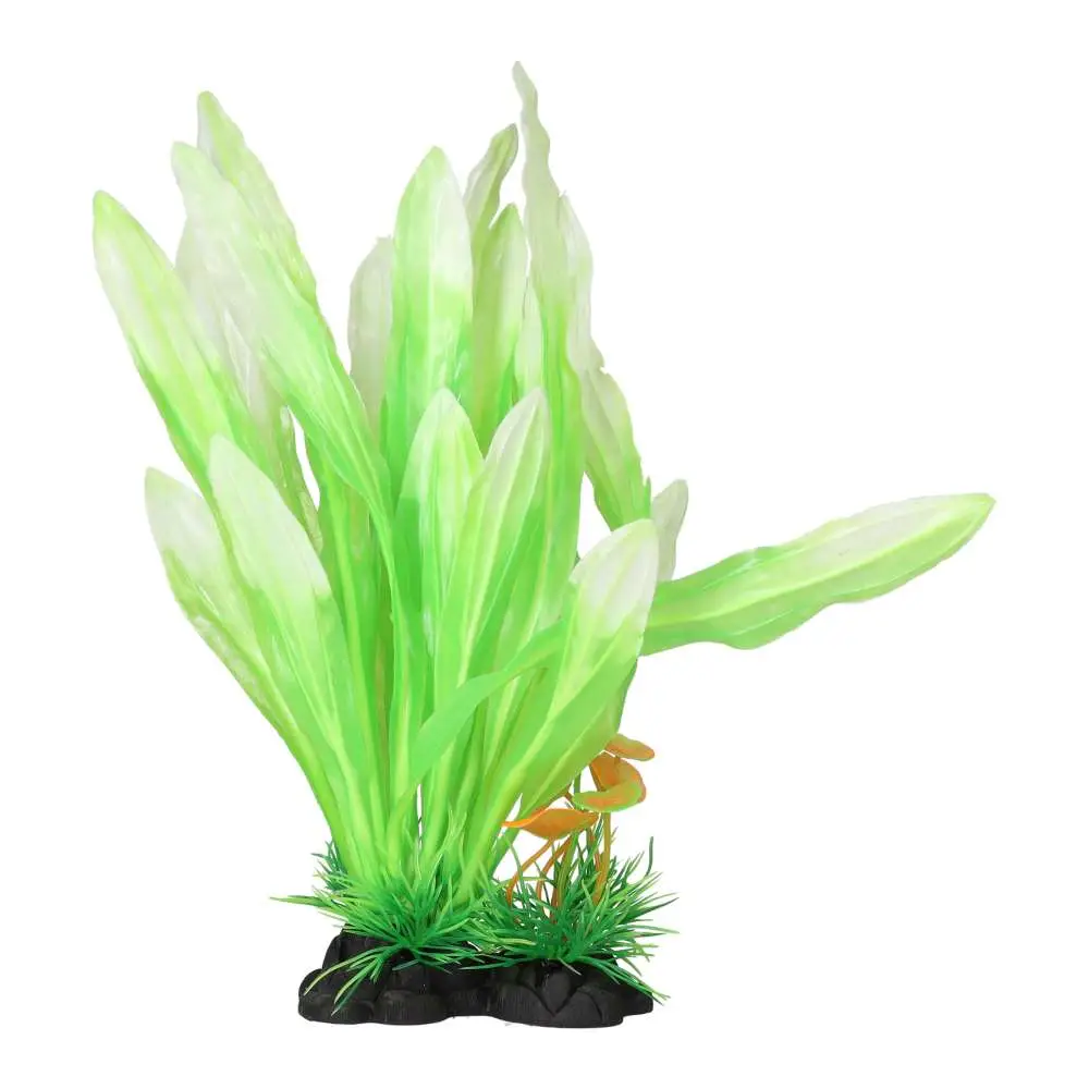 AquaSpectra Amazon Sword Leaf - Image 5