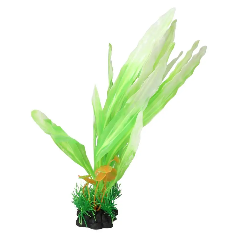 AquaSpectra Amazon Sword Leaf - Image 6