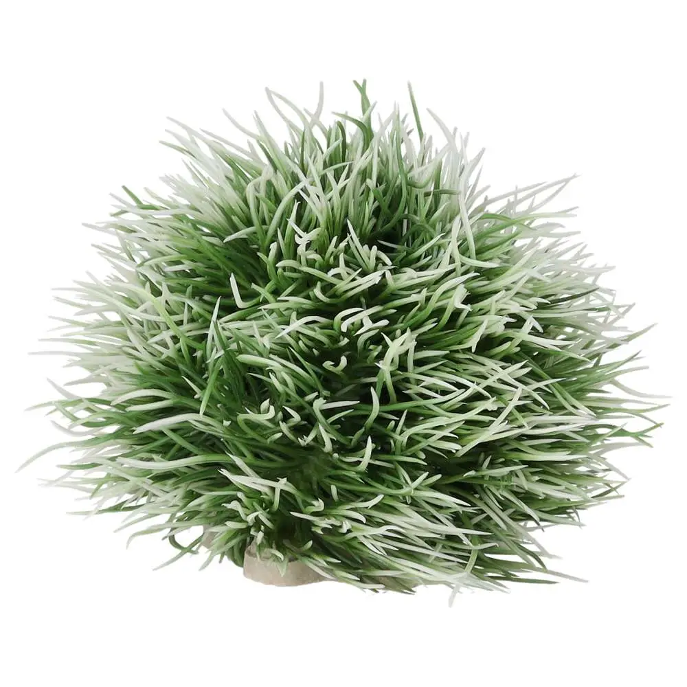 AquaSpectra Moss Ball - Image 2
