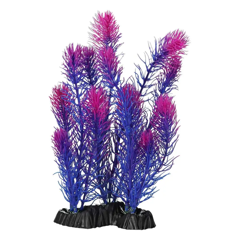 AquaSpectra Myrio - Image 3