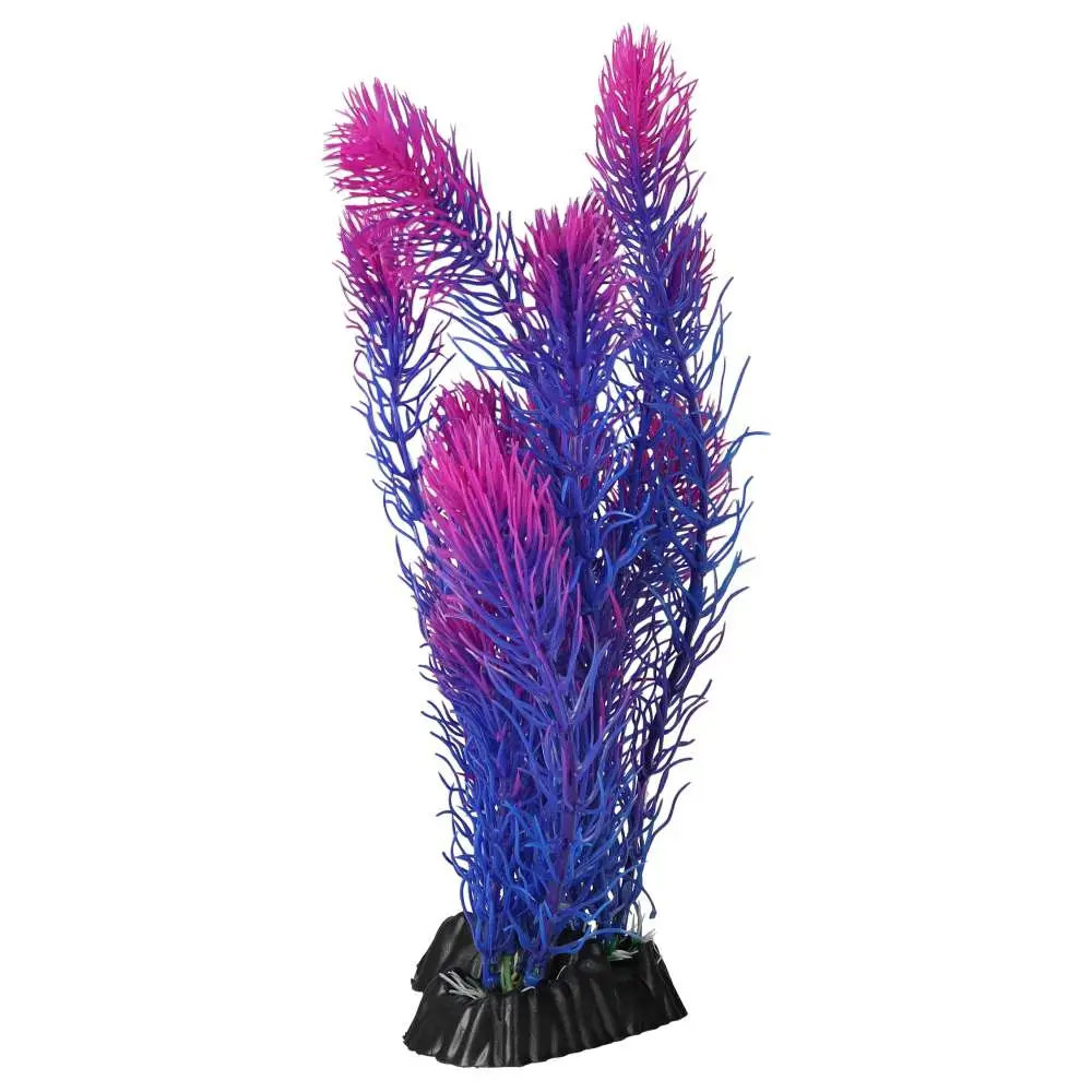AquaSpectra Myrio - Image 4
