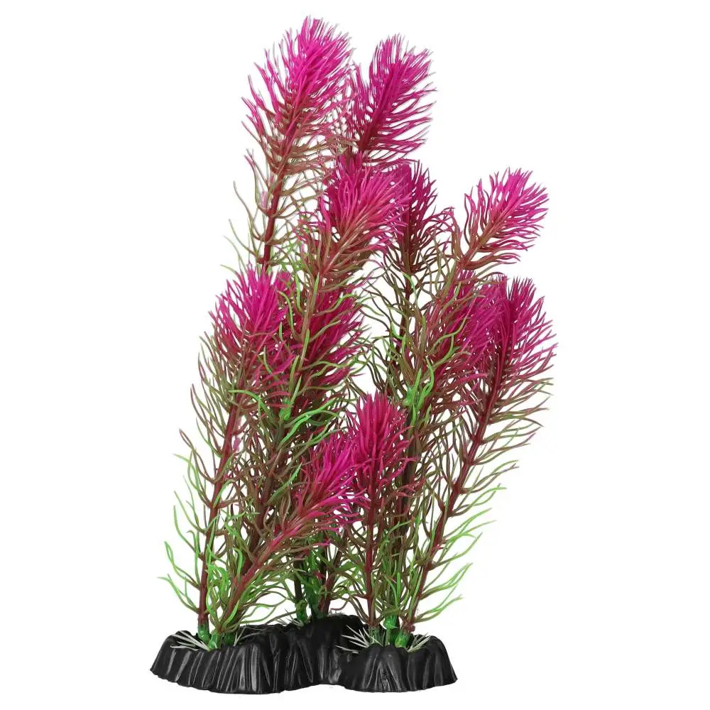 AquaSpectra Myrio - Image 5