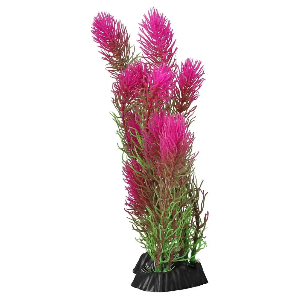 AquaSpectra Myrio - Image 6