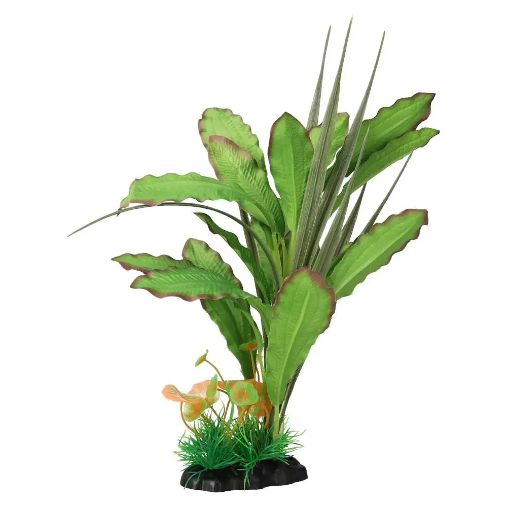 AquaSpectra Narrow Leaf Green - Image 3