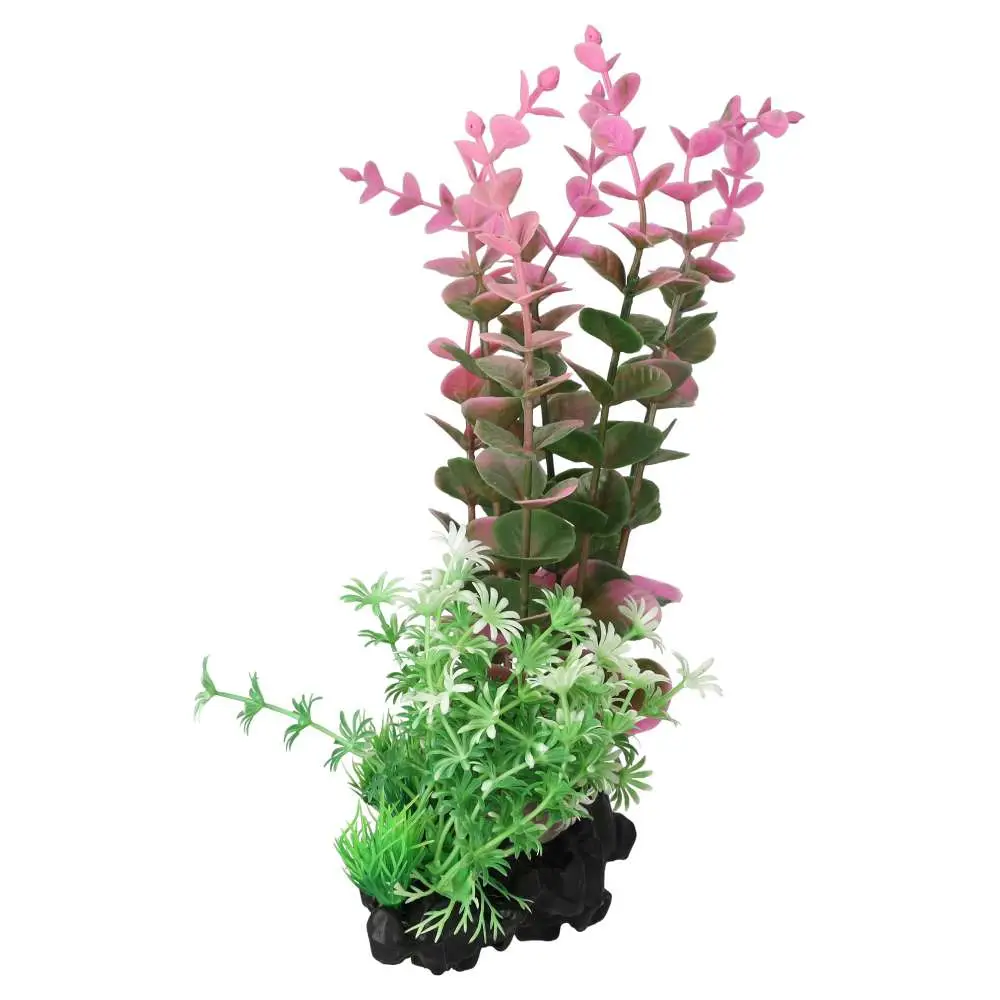 AquaSpectra Pink Indian Toothcup - Image 2