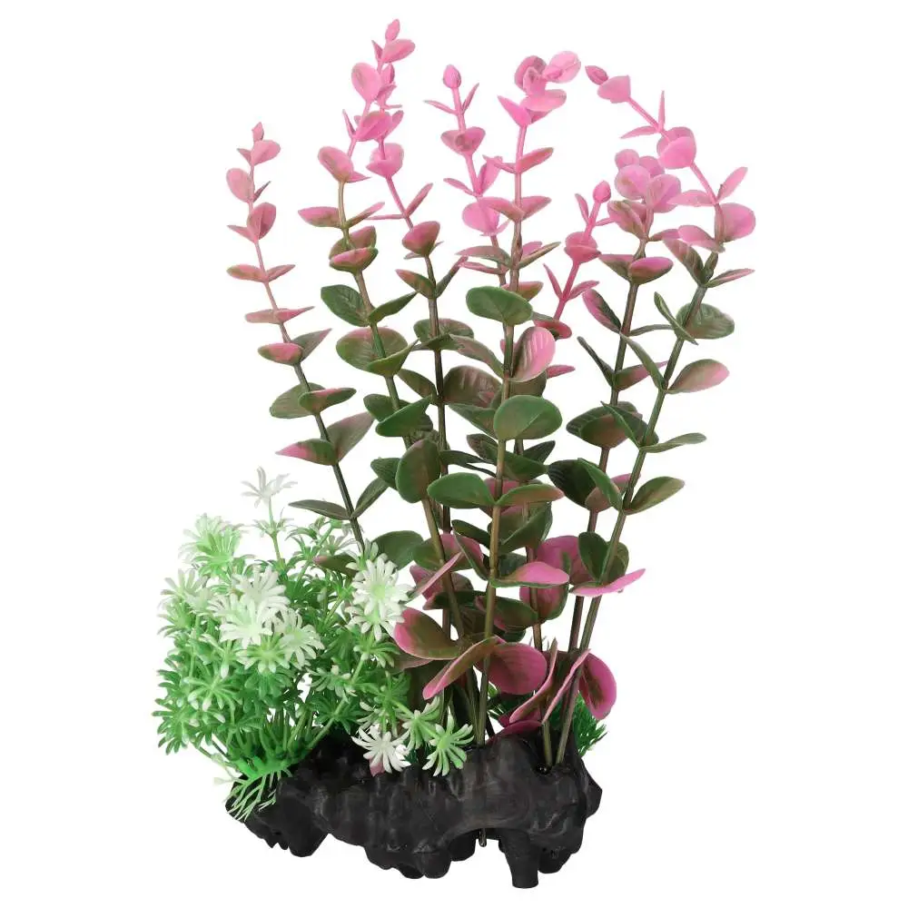 AquaSpectra Pink Indian Toothcup - Image 3
