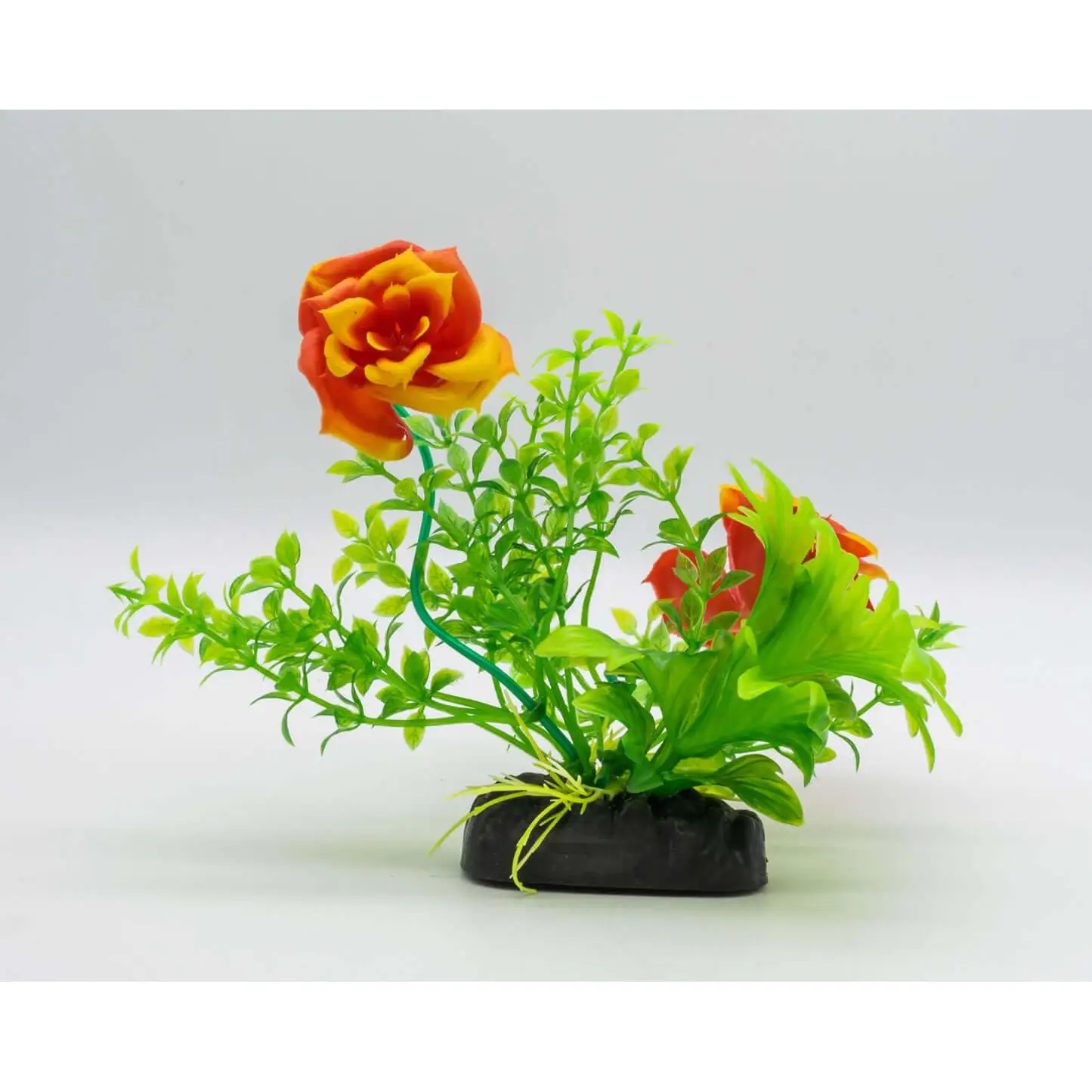 AquaSpectra Rose 15cm