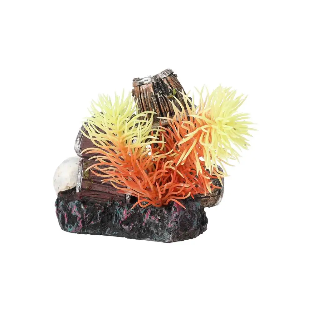 AquaSpectra Sunken Treasure - Image 2