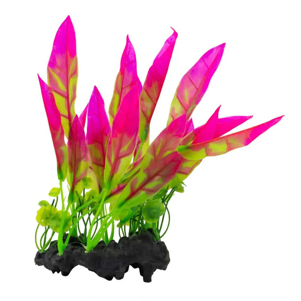AquaSpectra Sword Leaf on Log 26cm - Image 3