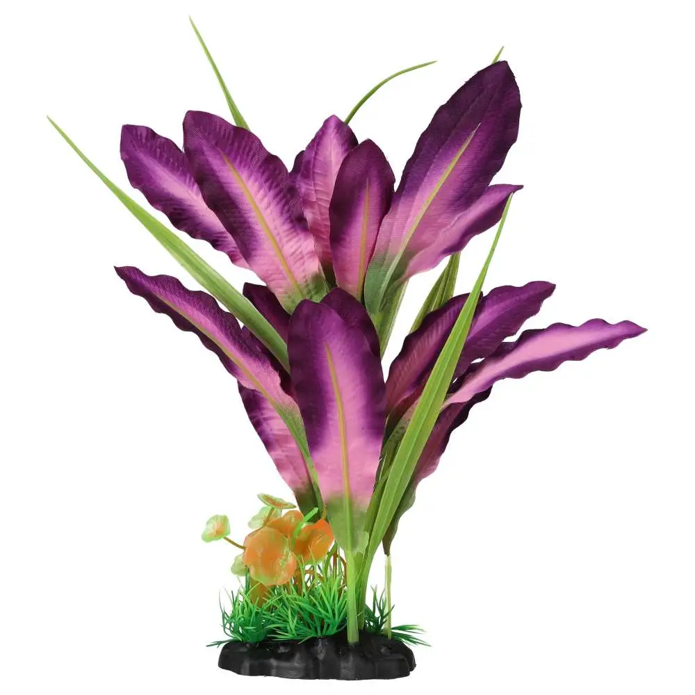 AquaSpectra Sword Leaf Purple - Image 2