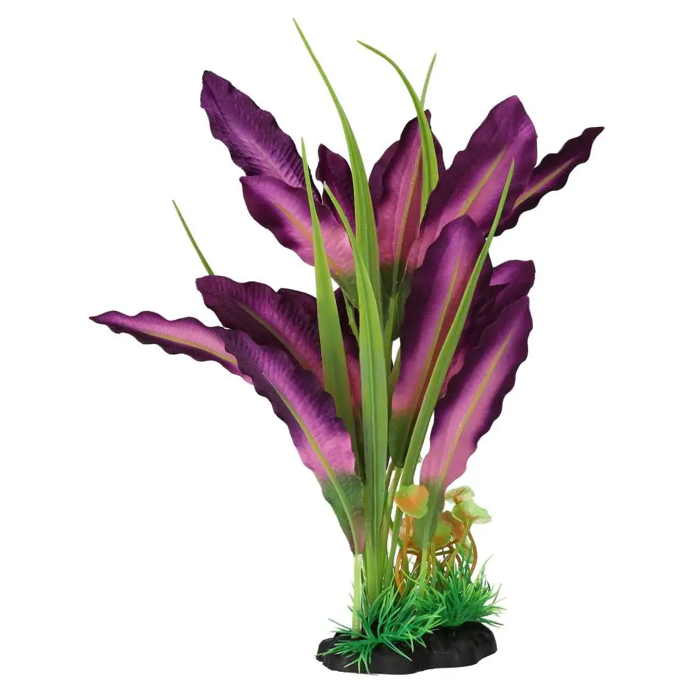 AquaSpectra Sword Leaf Purple - Image 3