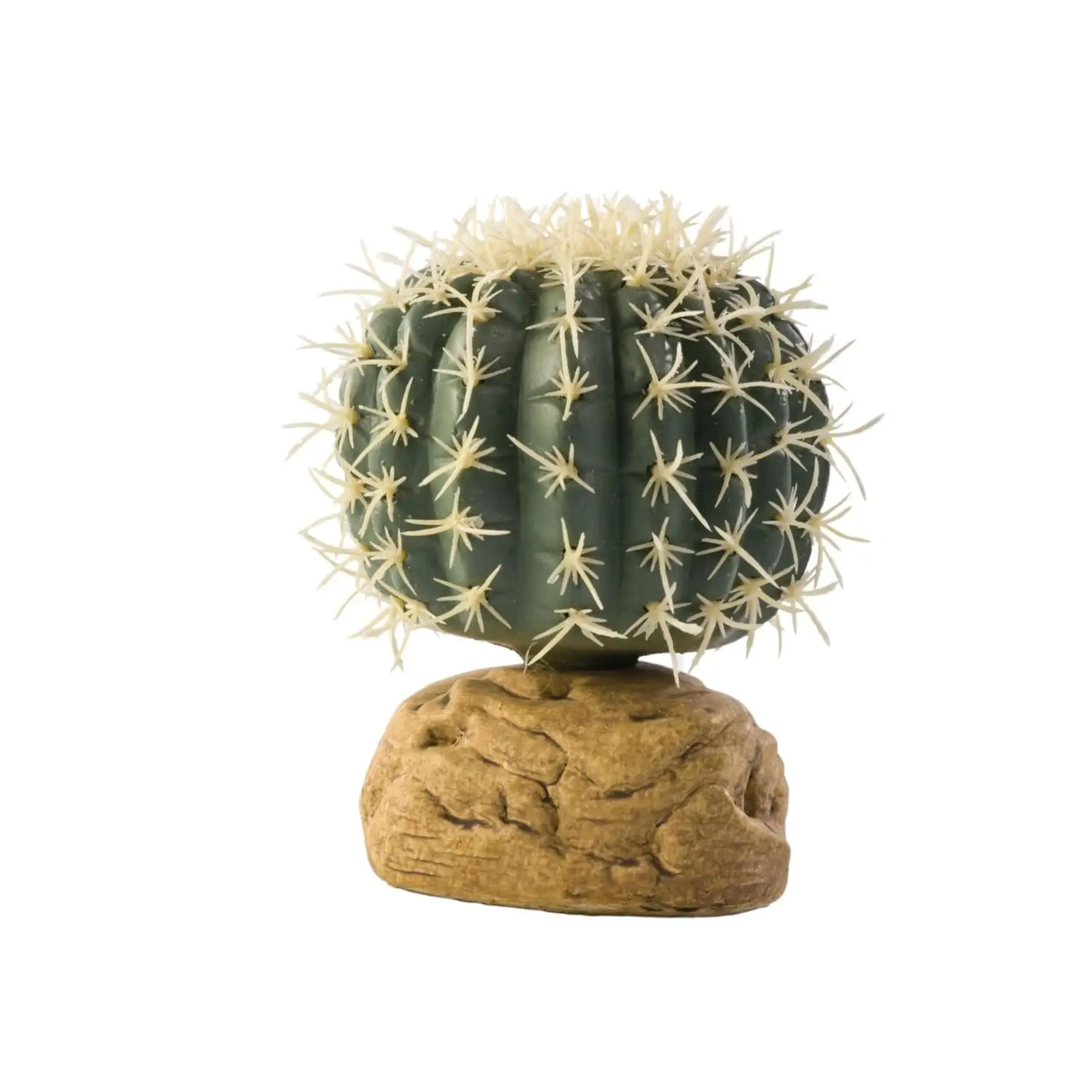Exo Terra Barrel Cactus