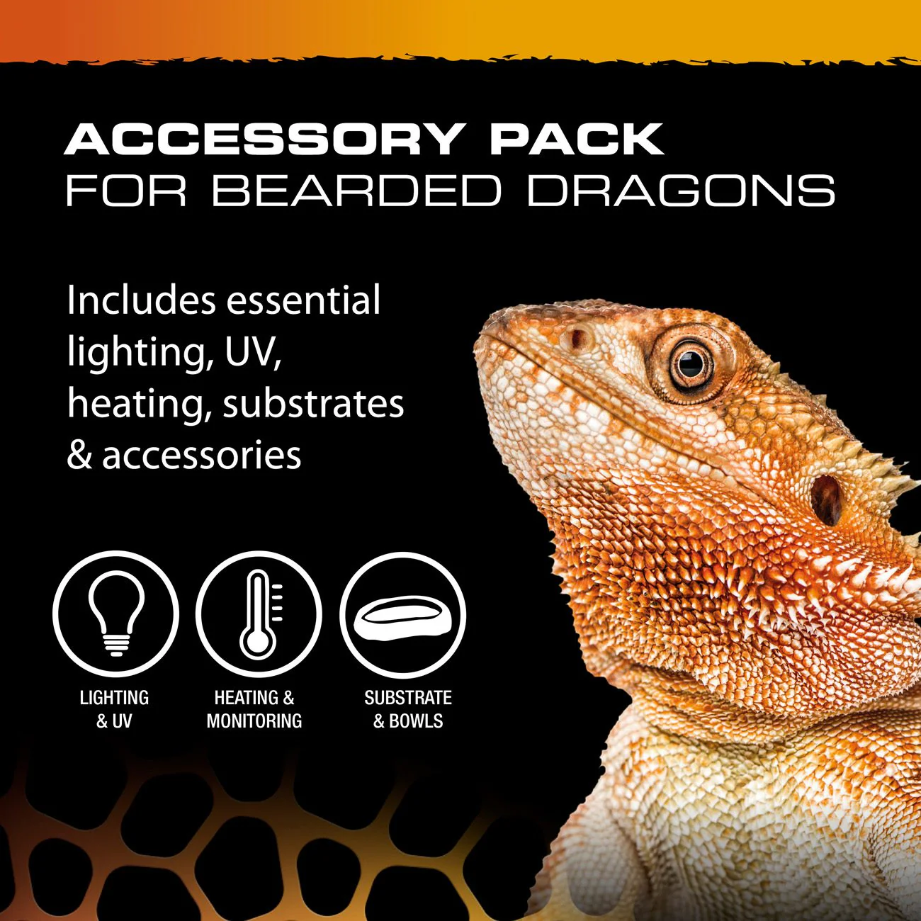 Exo Terra Bearded Dragon Accessory Kit - Image 5
