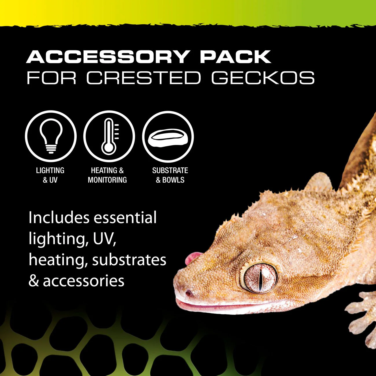 Exo Terra Crested Gecko Accessory Kit - Image 4