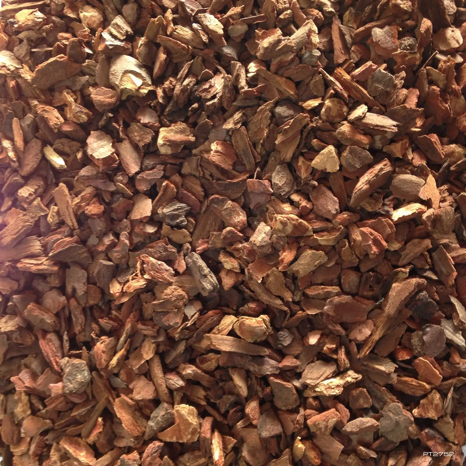 Exo Terra Forest Bark - Image 4