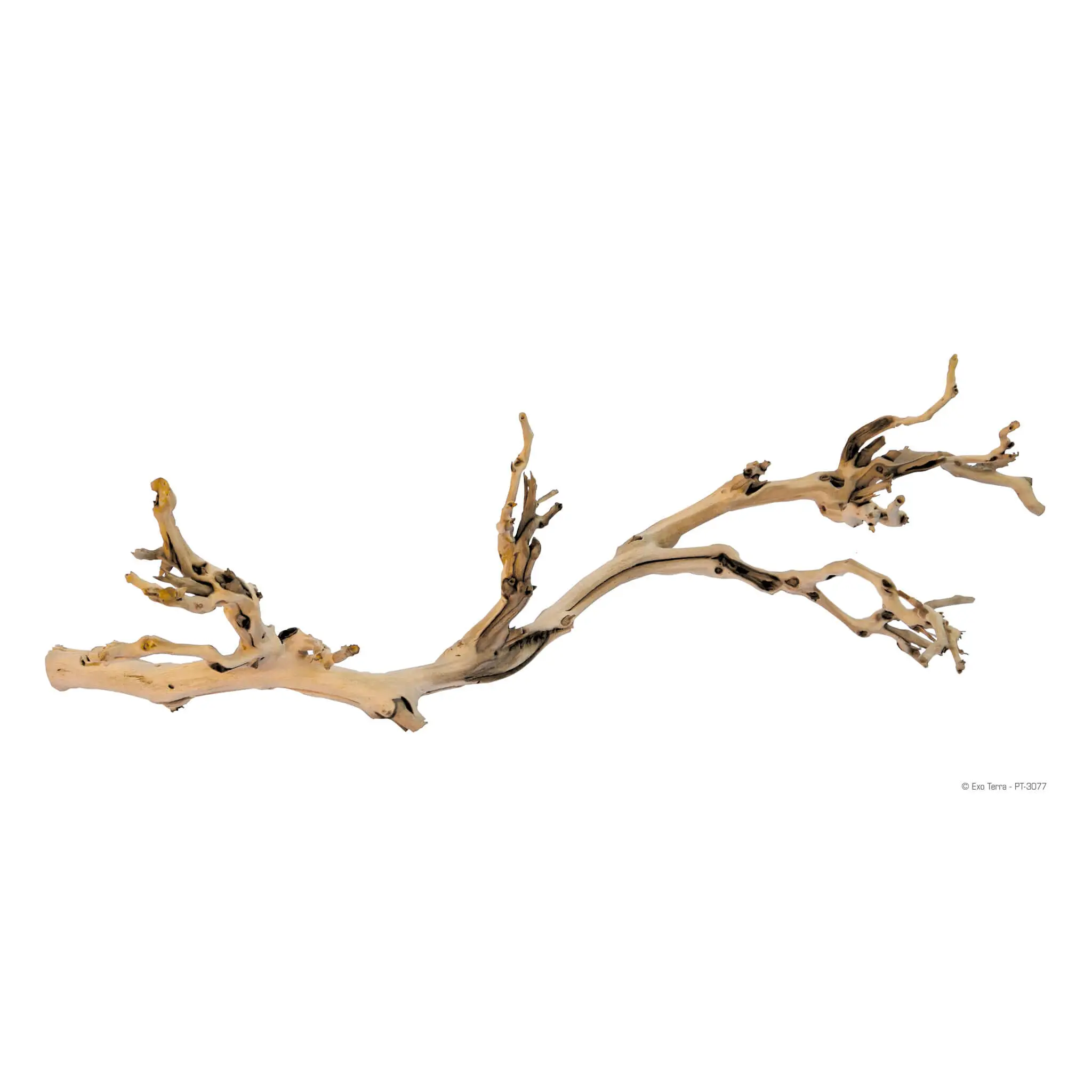 Exo Terra Forest Branch - Image 3