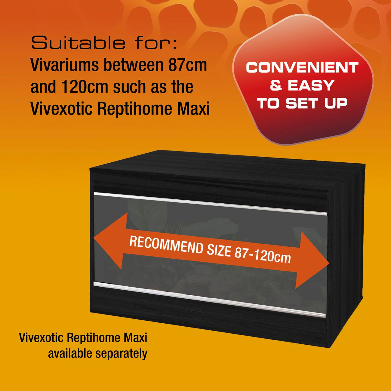 Exo Terra Leopard Gecko Vivarium Accessory Kit - Image 3