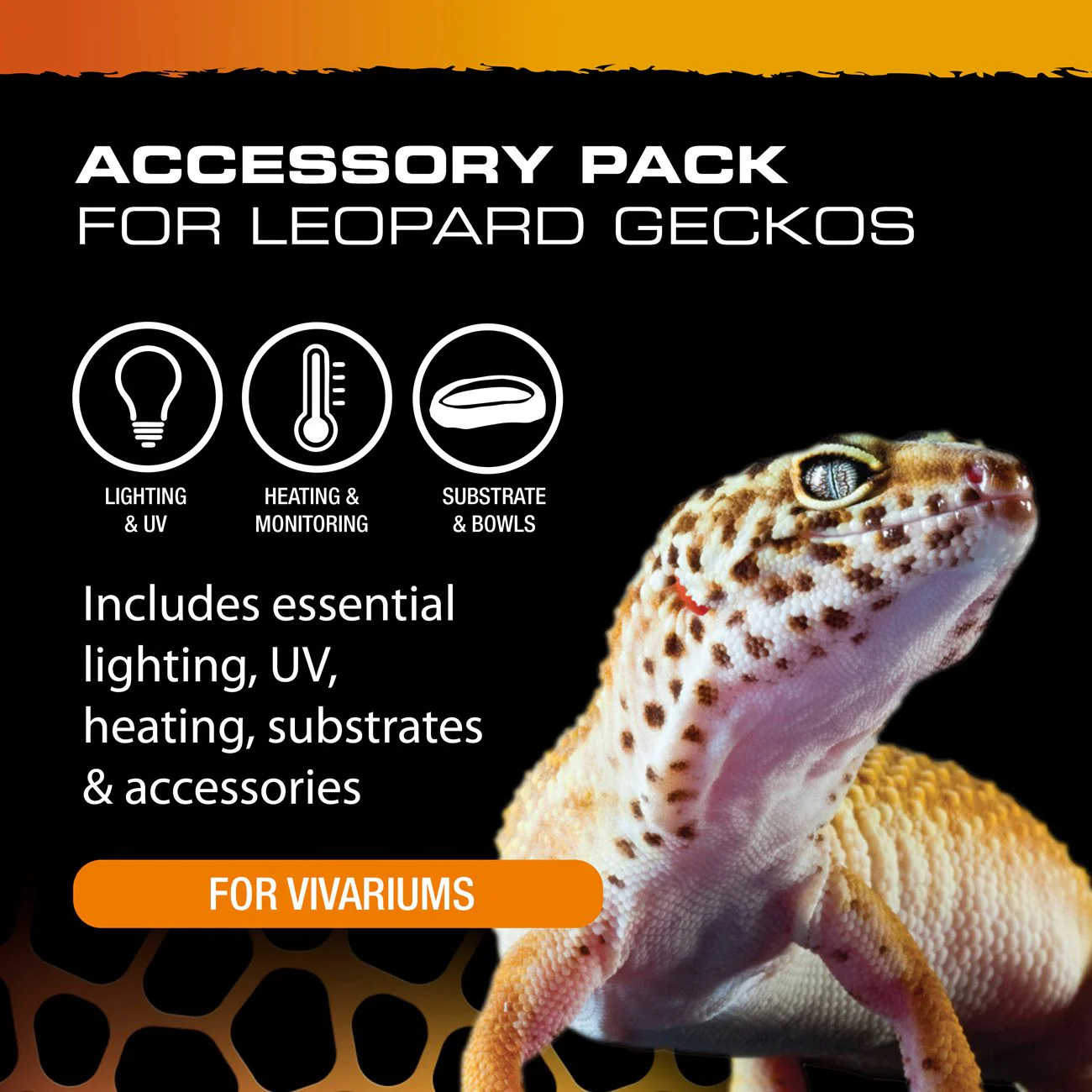 Exo Terra Leopard Gecko Vivarium Accessory Kit - Image 4