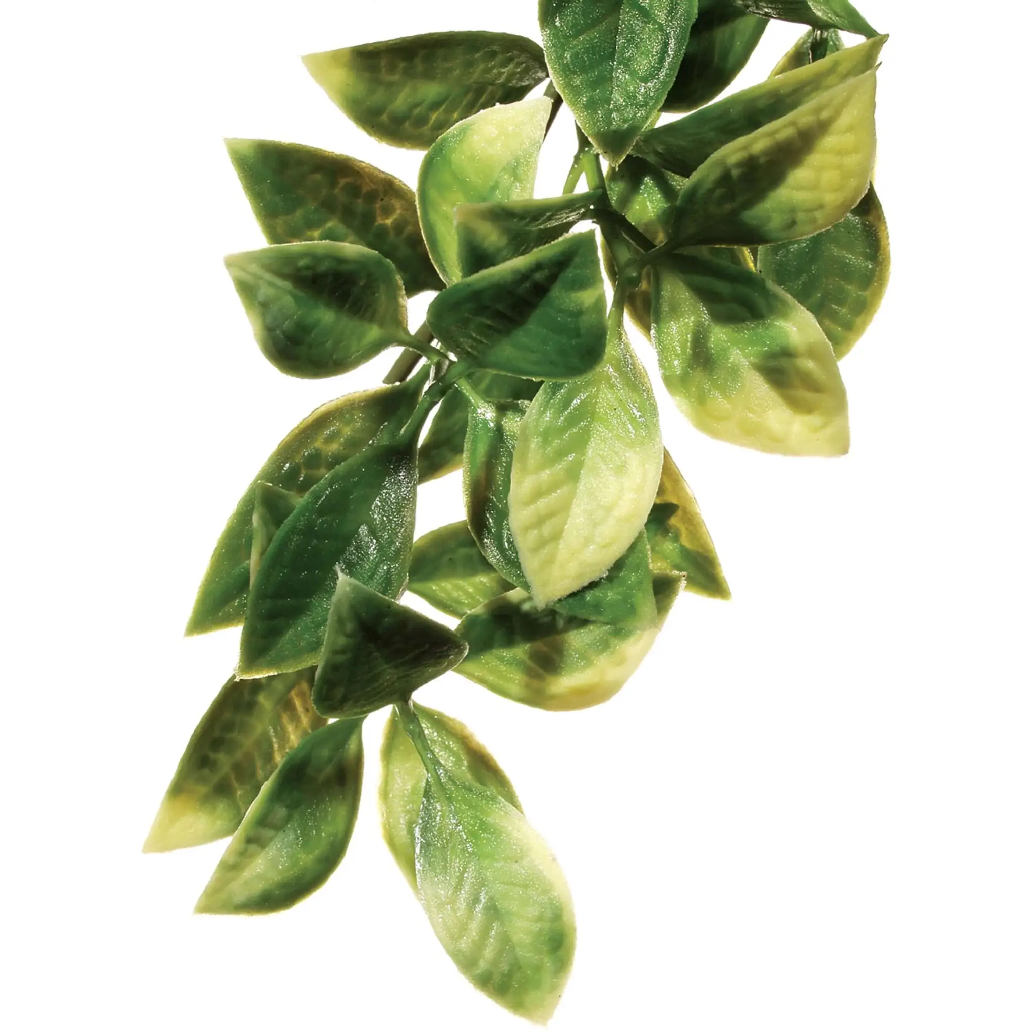 Exo Terra Plastic Plant Mandarin