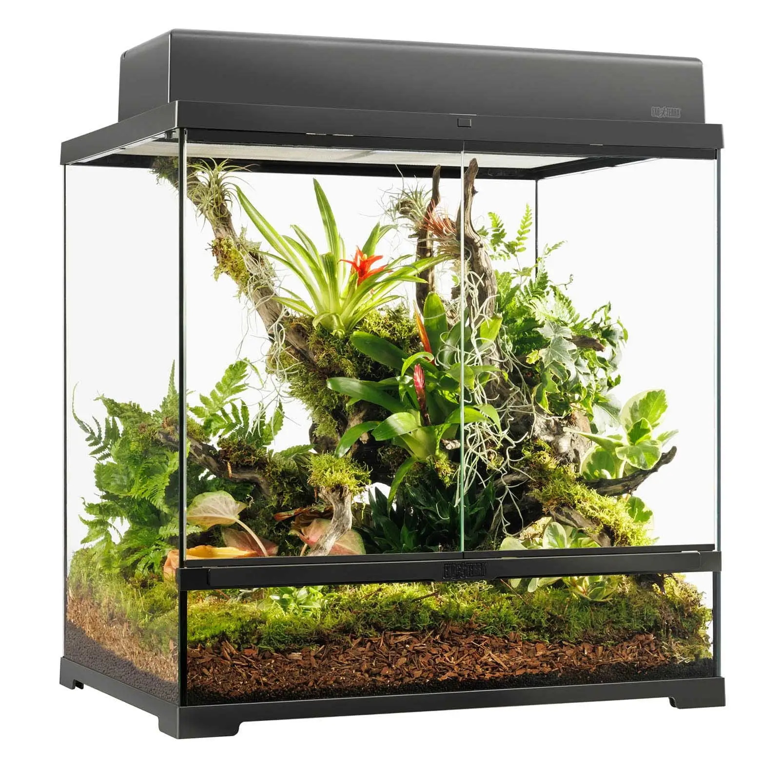Exo Terra Pro Terrarium Medium Tall - 60x45x60cm - Image 3