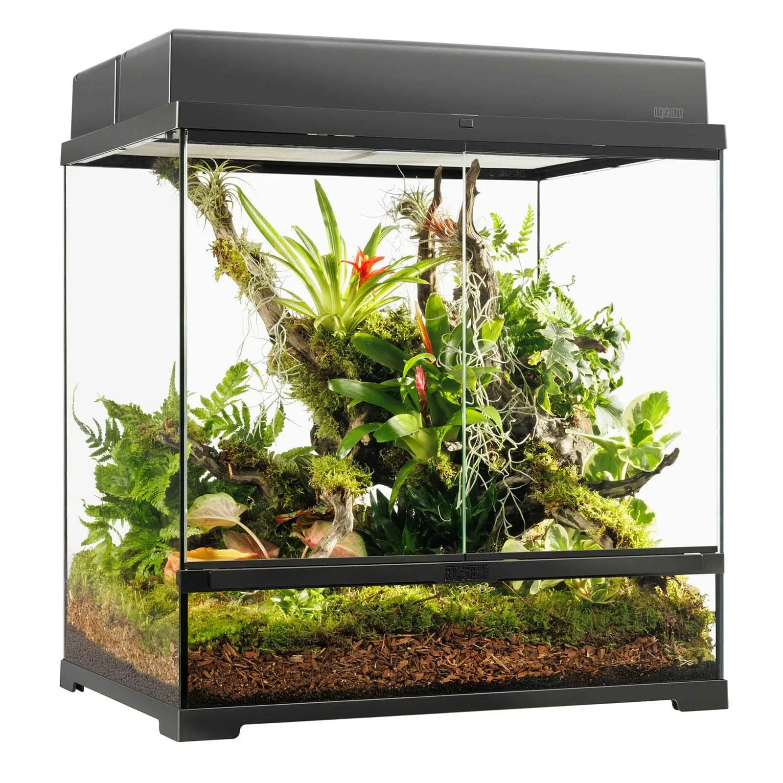 Exo Terra Pro Terrarium Medium Tall - 60x45x60cm - Image 4