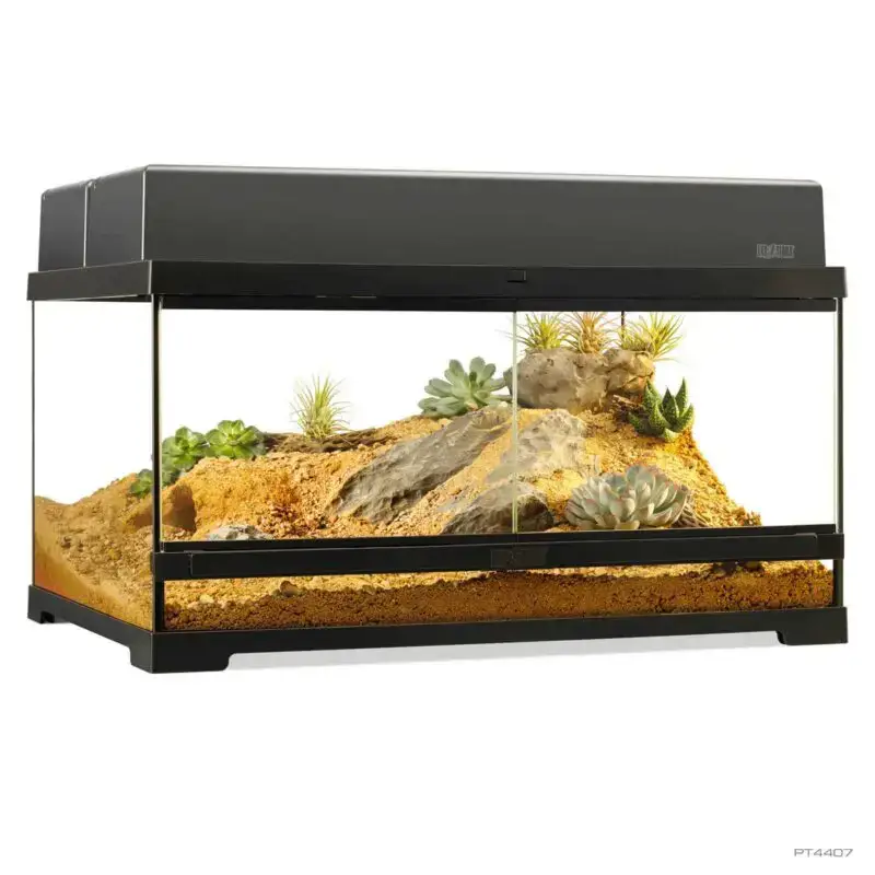 Exo Terra Pro Terrarium Medium Low - 60x45x30cm - Image 3