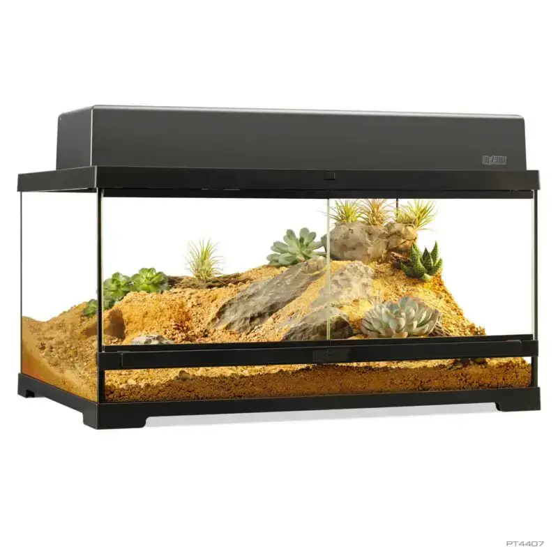 Exo Terra Pro Terrarium Medium Low - 60x45x30cm - Image 4