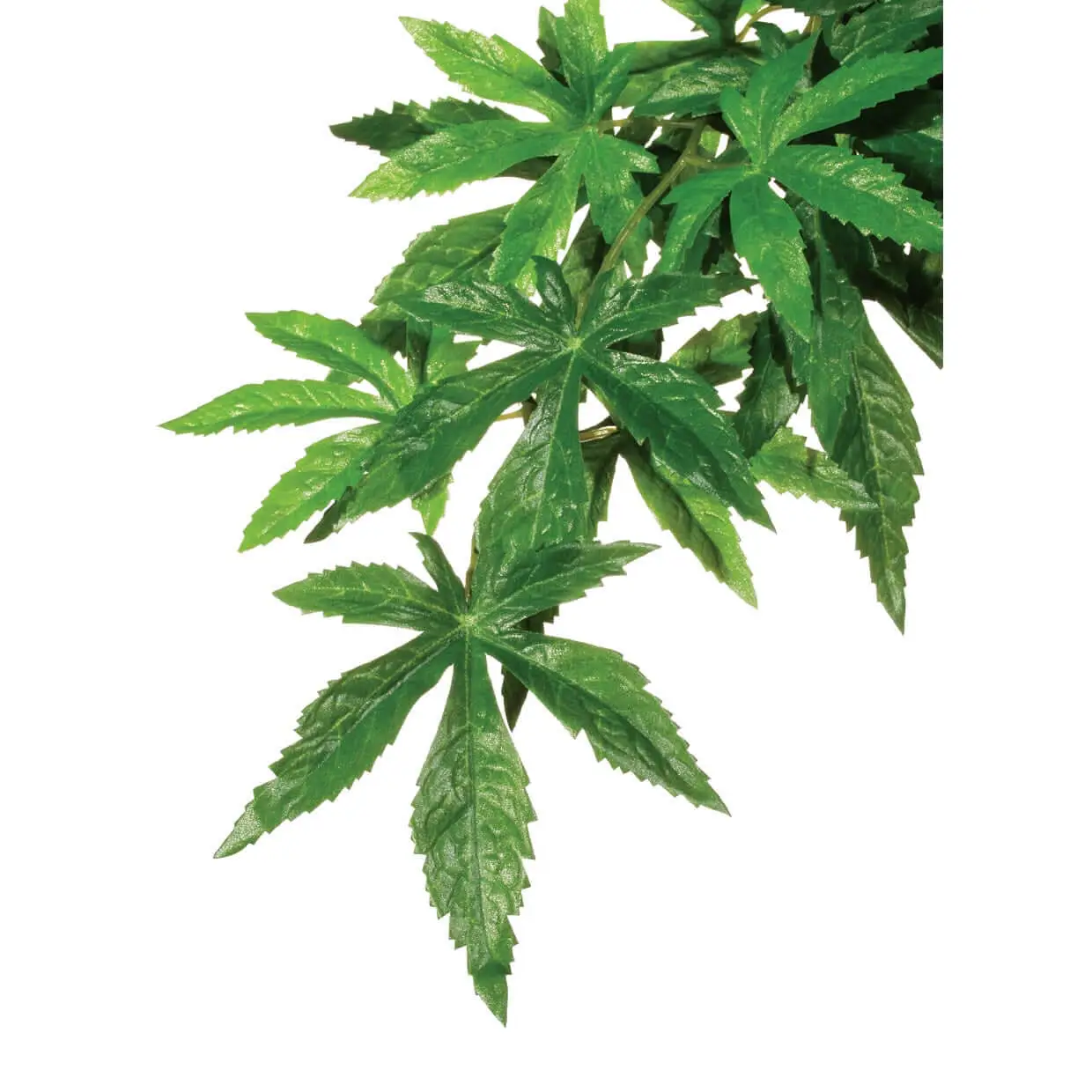 Exo Terra Silk Plant Abutilon - Image 3