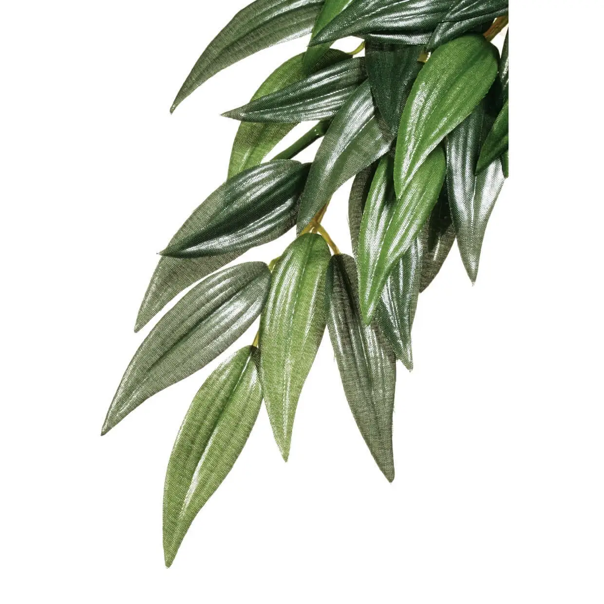 Exo Terra Silk Plant Ruscus - Image 3