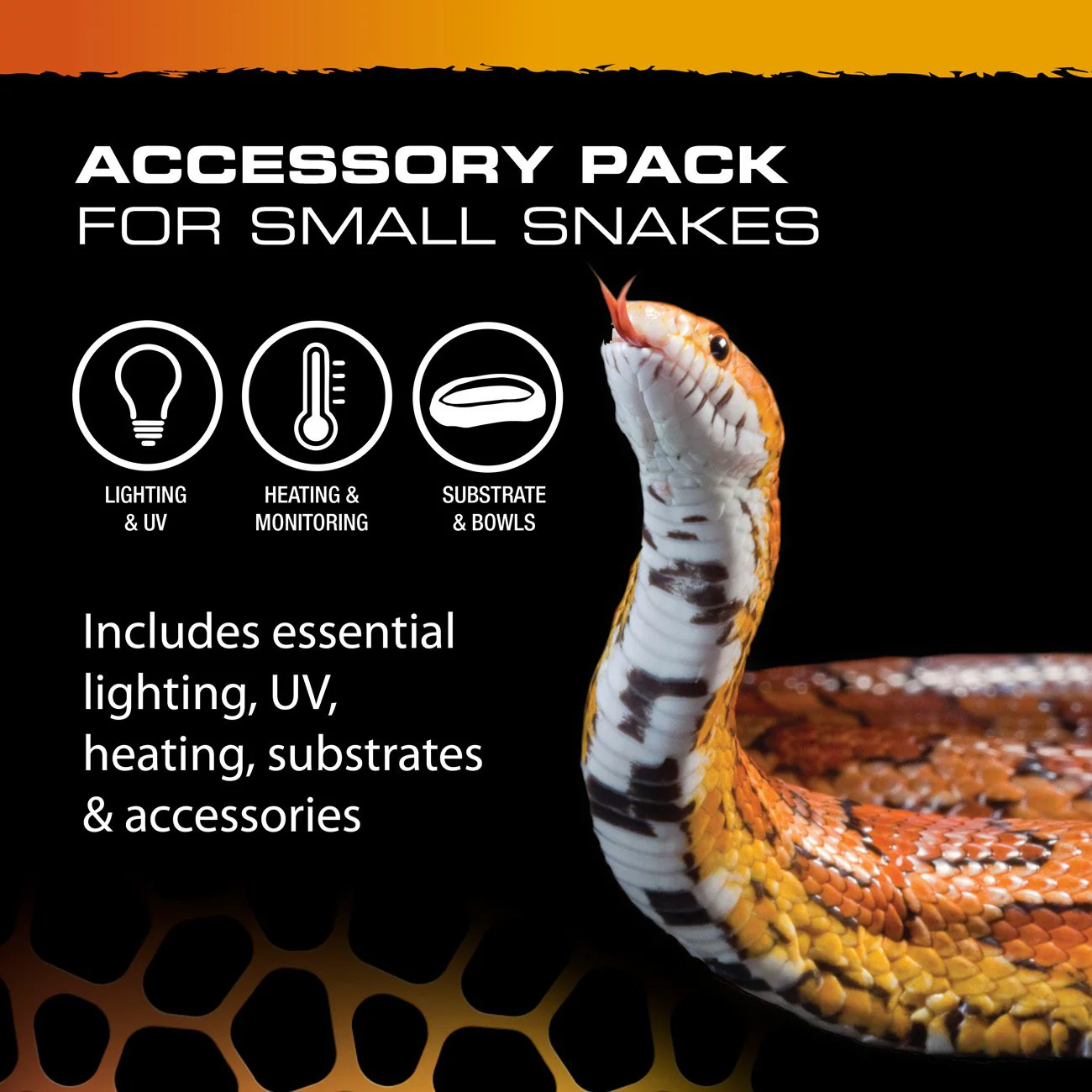 Exo Terra Snake Starter Accessory Kit - Image 4
