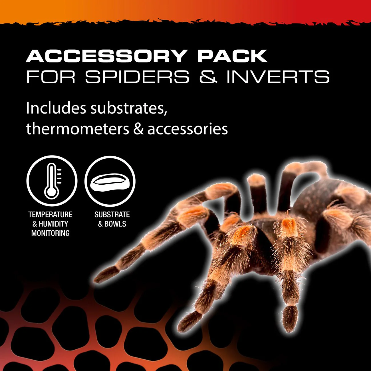 Exo Terra Spider/Invert Accessory Kit - Image 5