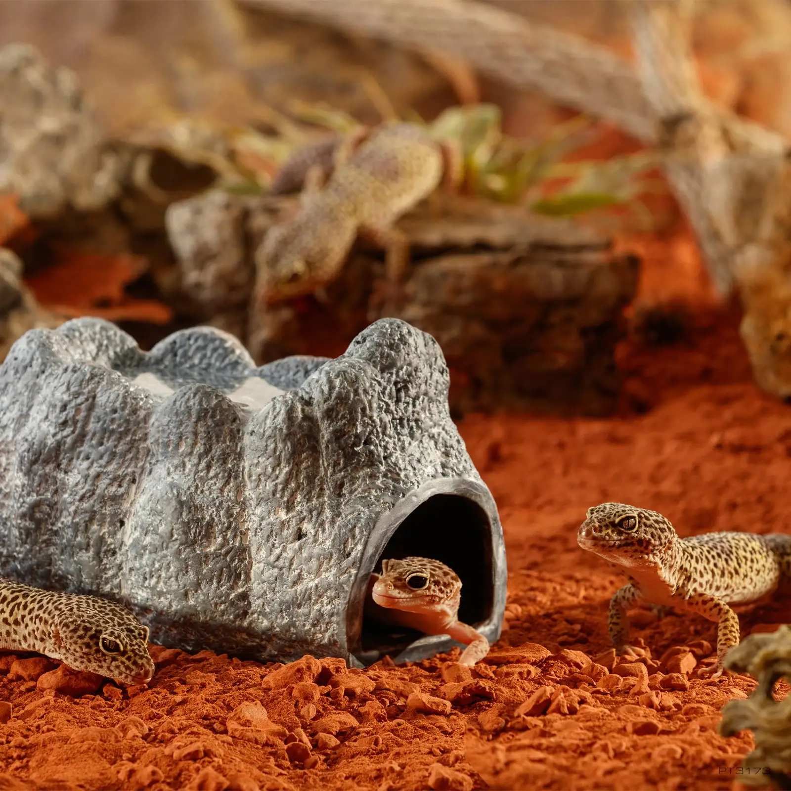 Exo Terra Wet Rock Cave - Image 6