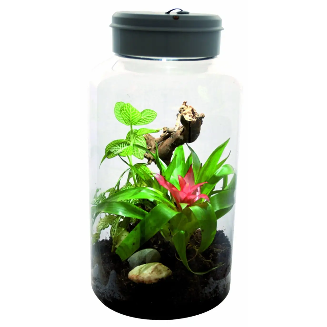 Lucky Reptile Insect-Tarrium 5 Litre - Image 3