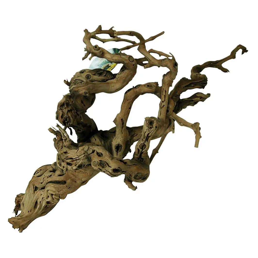 Lucky Reptile Premium Grapevine - Image 3
