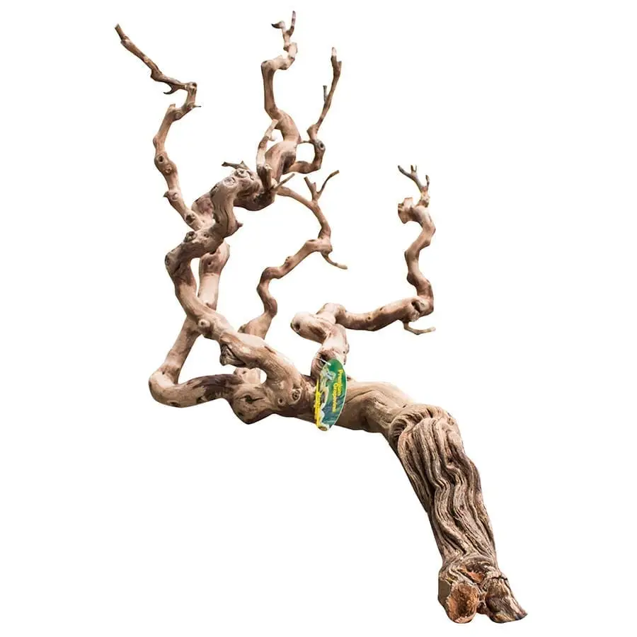 Lucky Reptile Premium Grapevine - Image 4