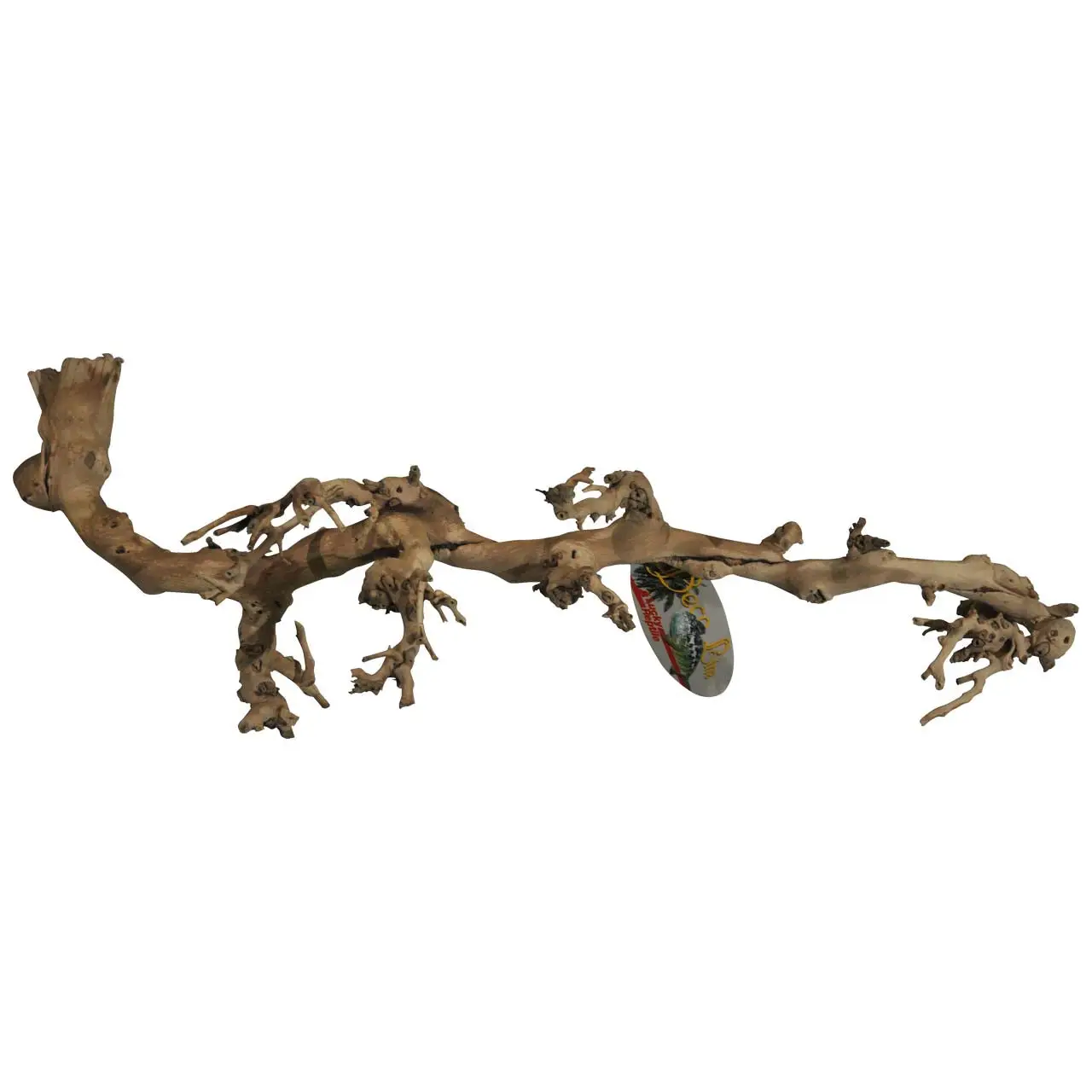Lucky Reptile Sand-blasted Grapevine - Image 3
