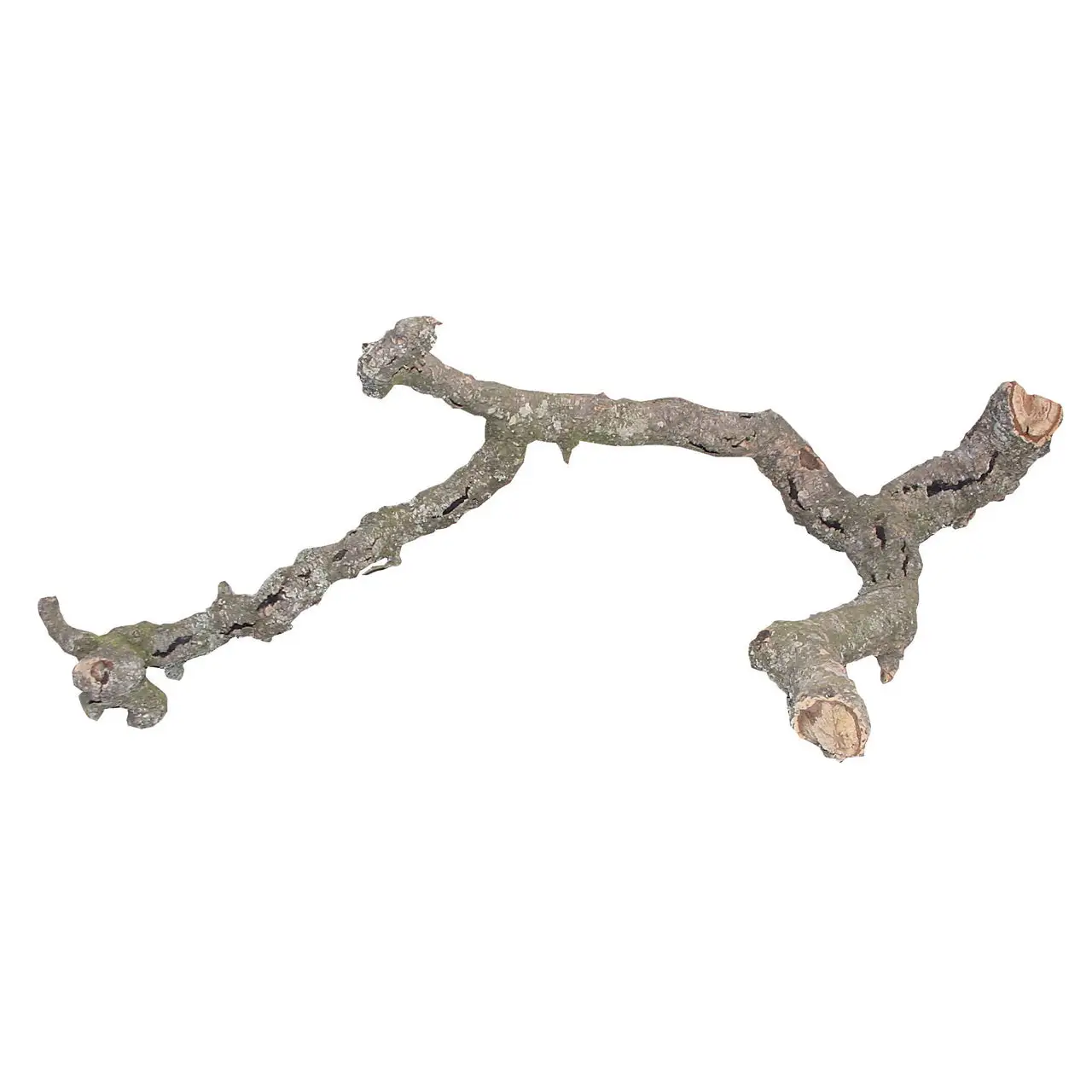 Lucky Reptile Tronchos Cork Branch - Image 4