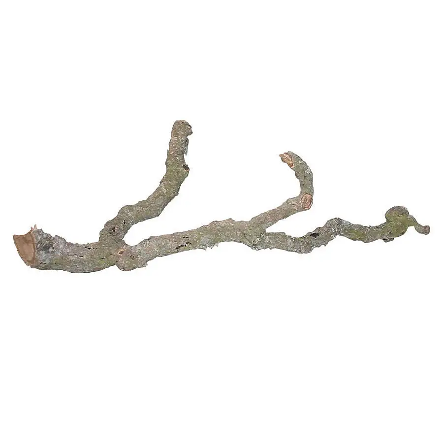 Lucky Reptile Tronchos Cork Branch - Image 5