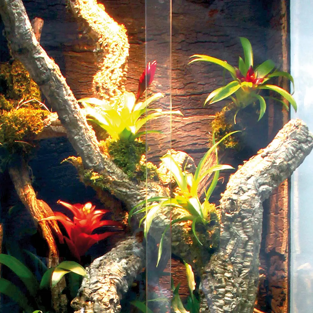 Lucky Reptile Tronchos Cork Branch - Image 6
