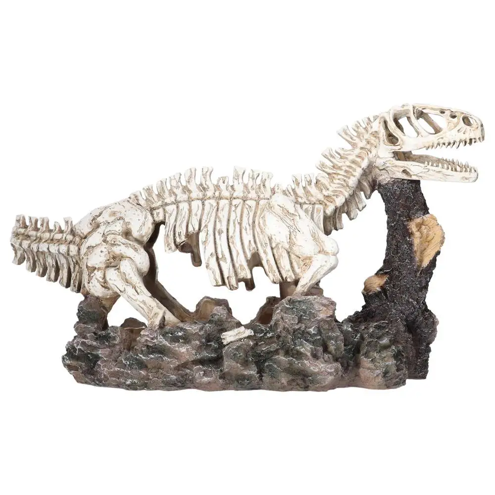 ProRep Allosaurus Skeleton - Image 4