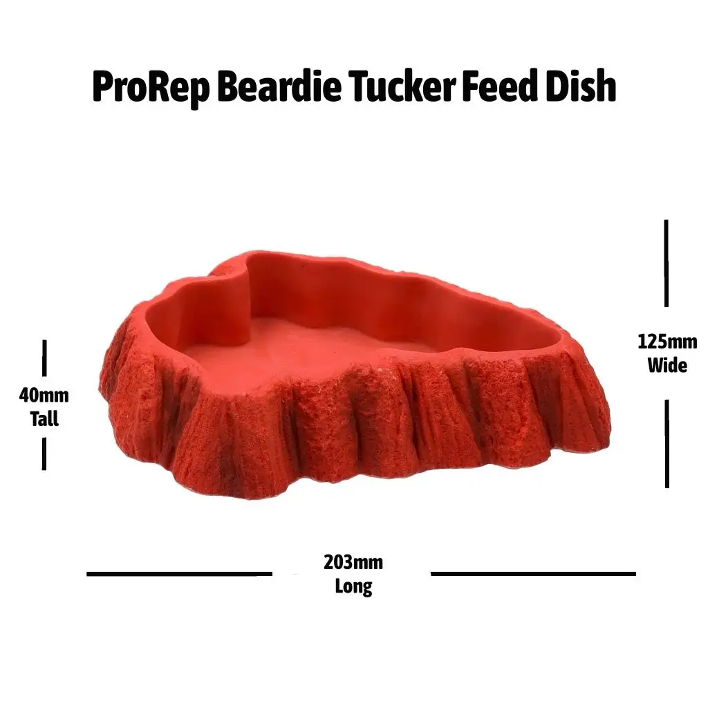 ProRep Beardie Tucker Feeding Dish - Image 4