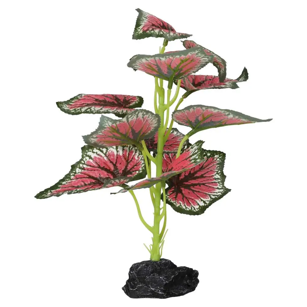 ProRep Terrestrial Begonia Salsa - Image 3