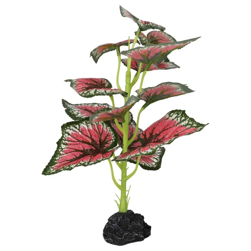 ProRep Terrestrial Begonia Salsa - Image 4