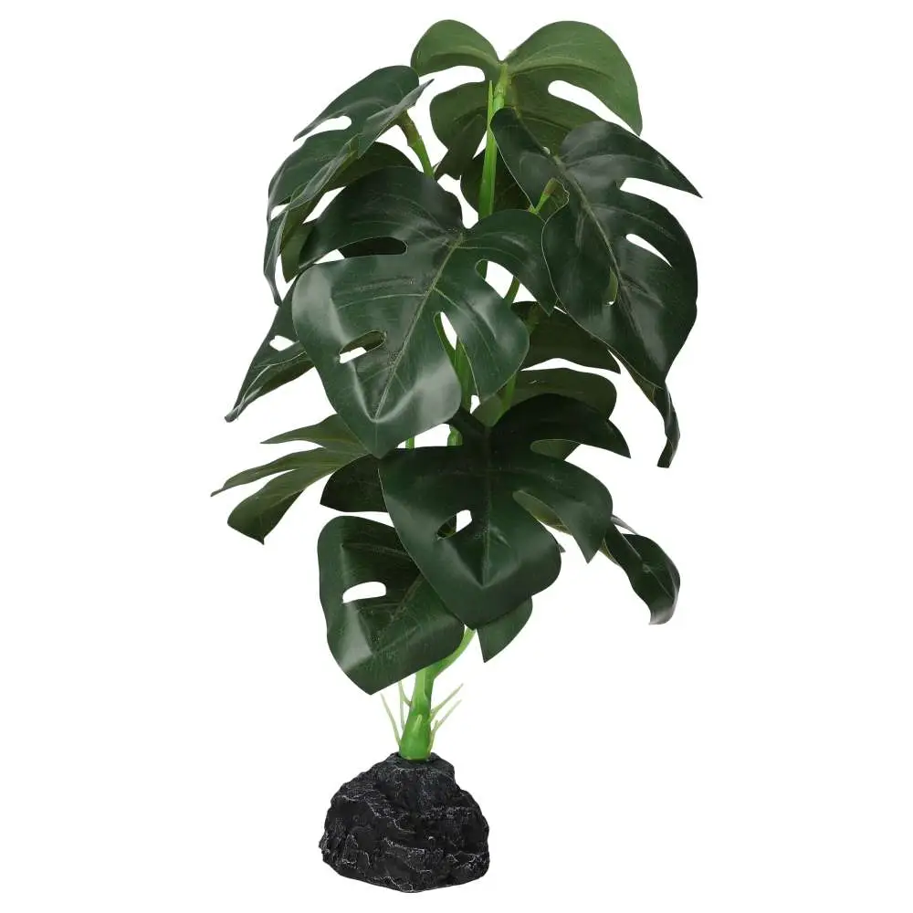 ProRep Terrestrial Monstera 27cm - Image 3