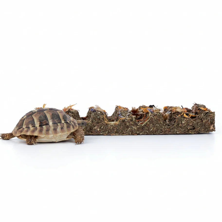 ProRep Tortoise Flower Foraging Bar - Image 6