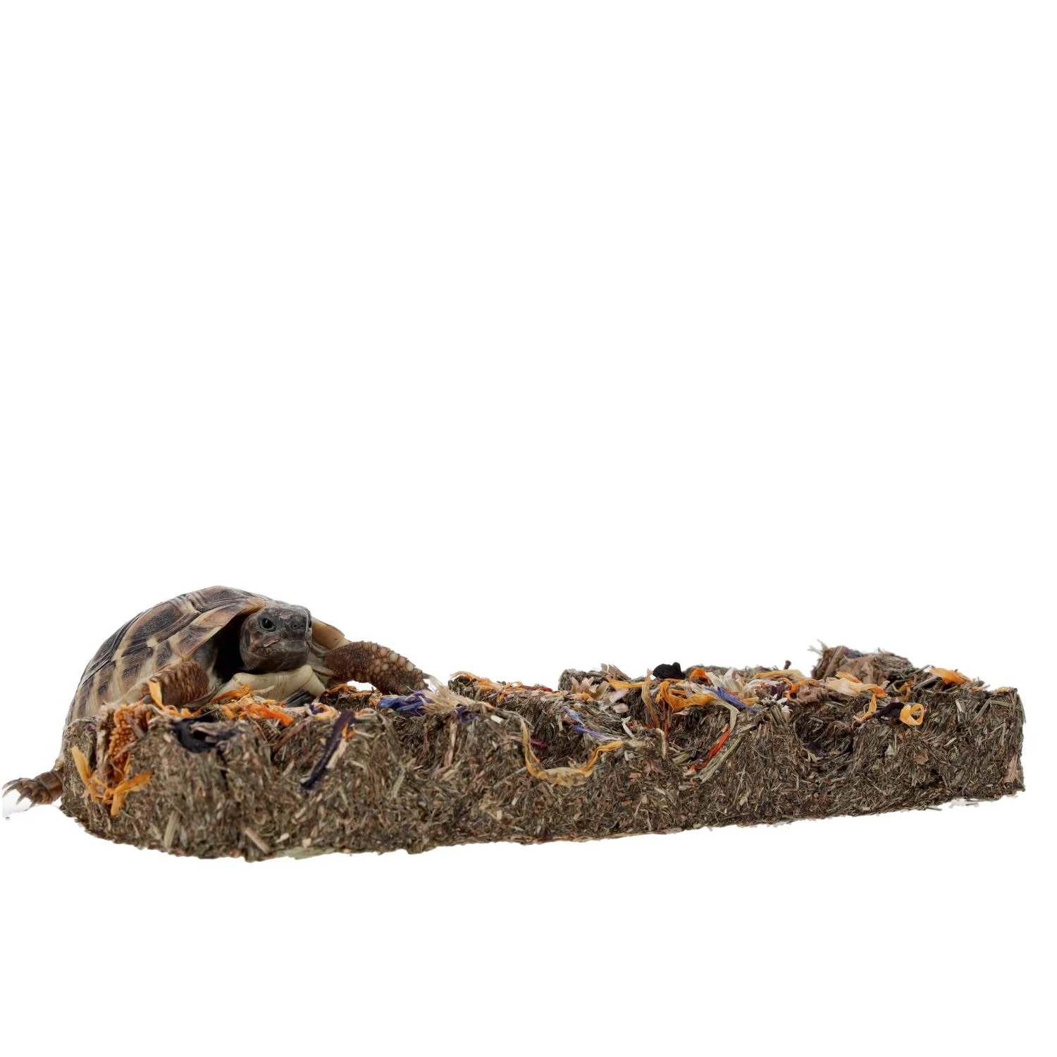 ProRep Tortoise Flower Foraging Bar - Image 7