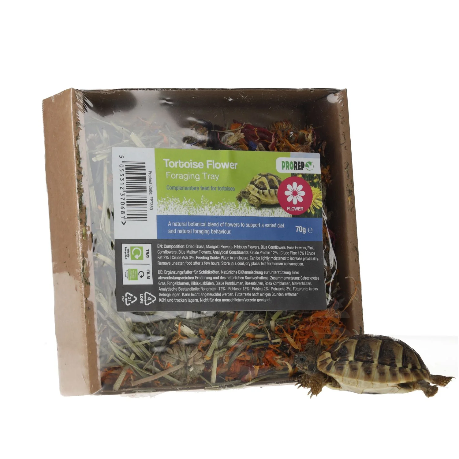 ProRep Tortoise Foraging Tray 70g - Image 3